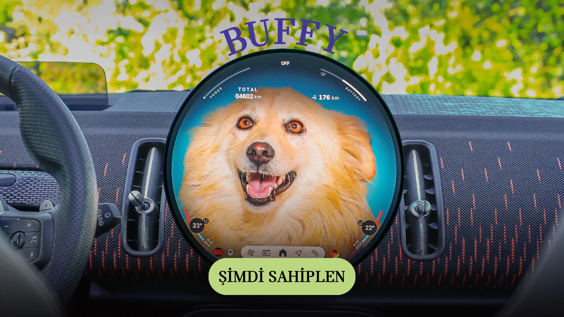 MINI Pati | MINI Türkiye